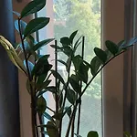 Hanna's Traumwohnung דירה