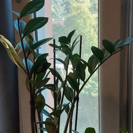 Hanna's Traumwohnung 아파트